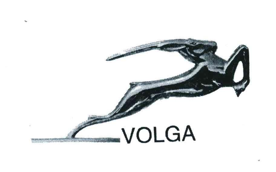 volga 商标公告