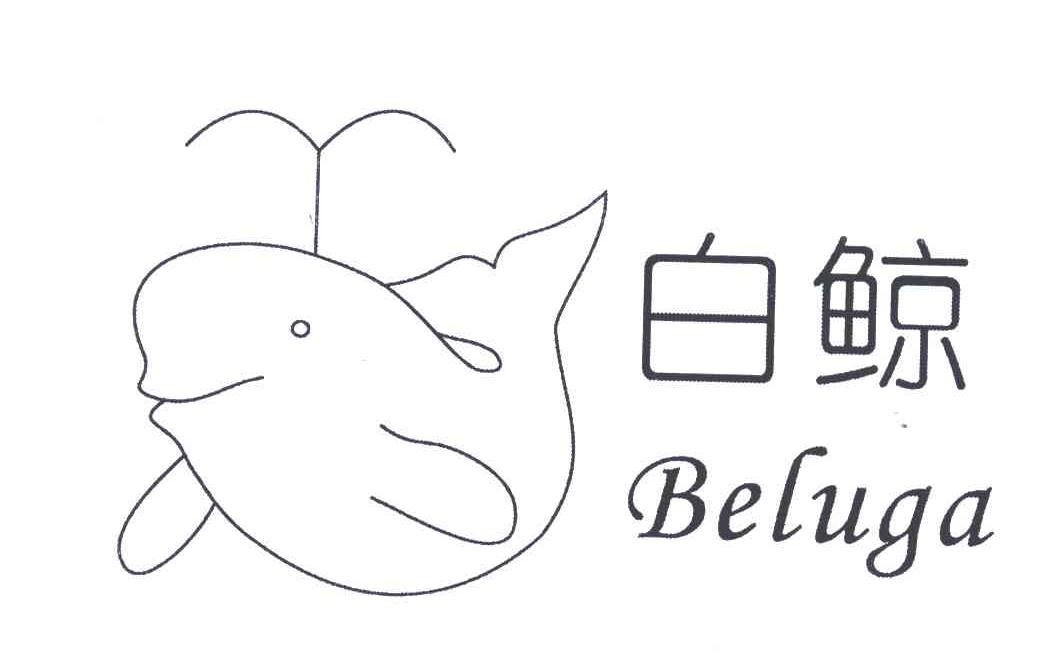 白鲸;beluga 商标公告