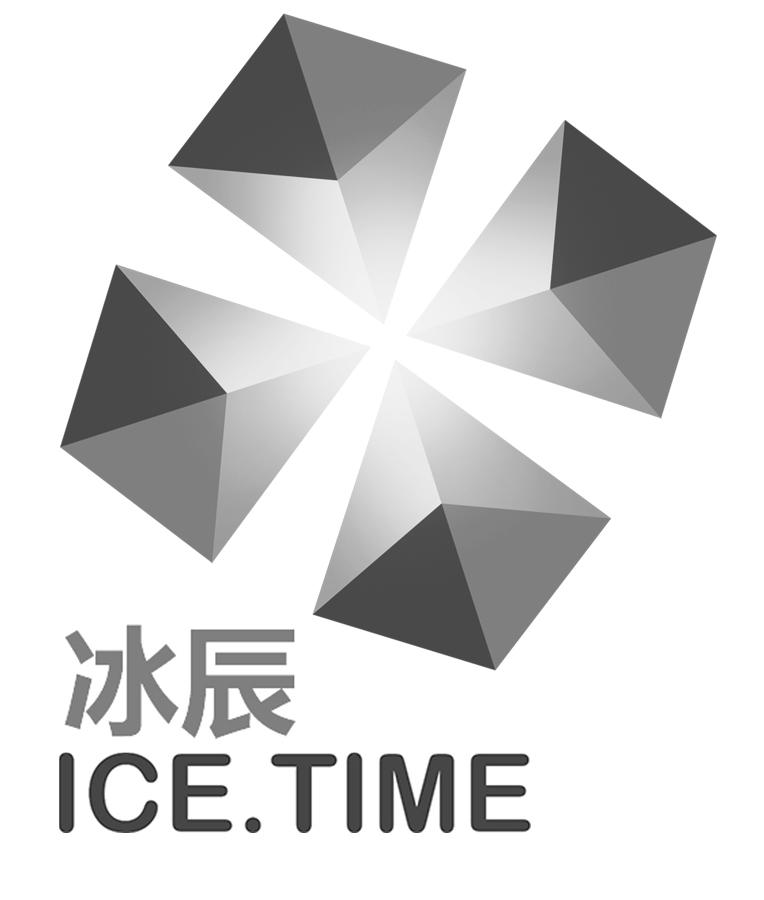 冰辰网络科技(上海)有限公司