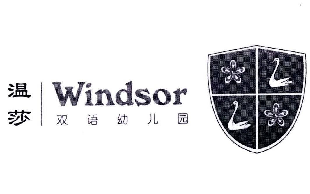 温莎 双语幼儿园 windsor 商标公告
