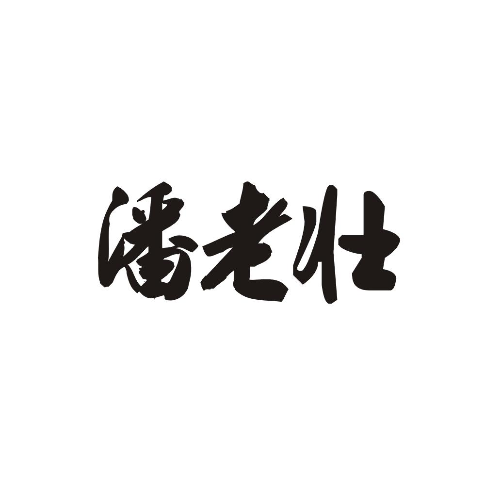 潘老壮 商标公告