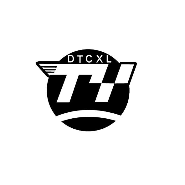 dtcxl ty 商标公告