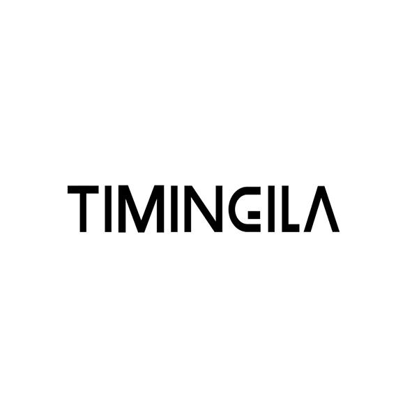 timingila 商标公告