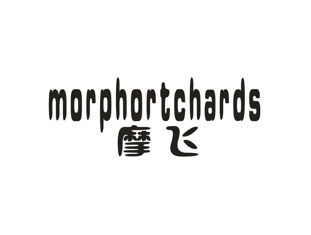 摩飞 morphortchards 商标公告