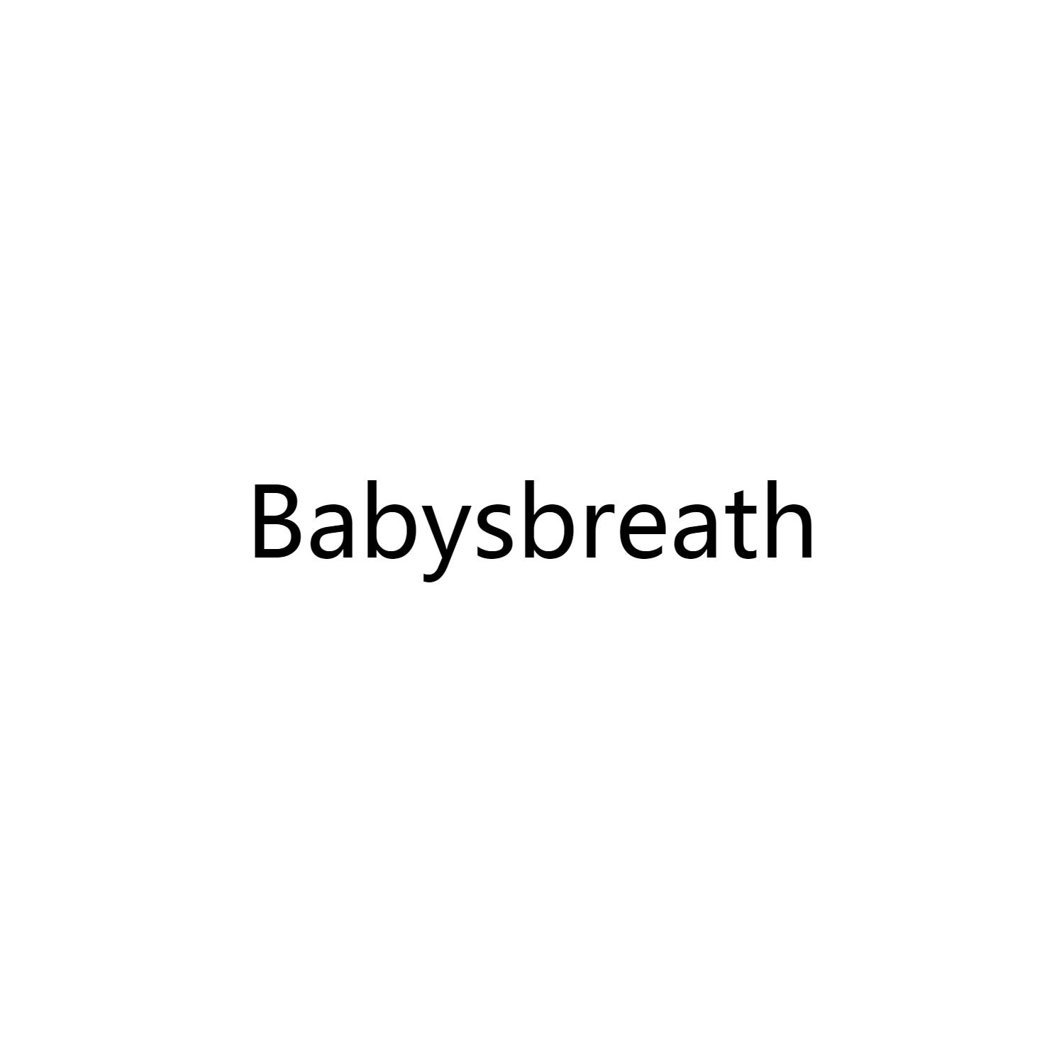 babysbreath商标公告