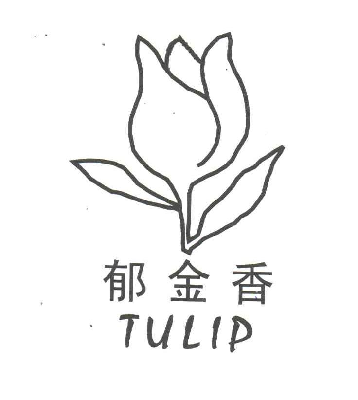 郁金香;tulip 商标公告
