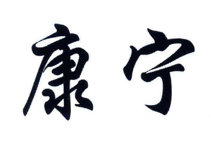 康宁 商标公告