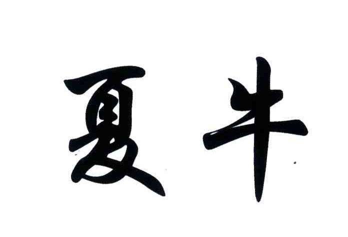 夏牛 商标公告