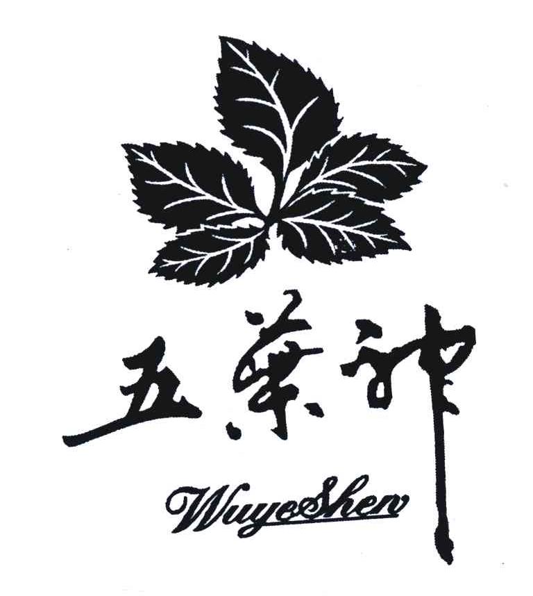 五叶神 商标公告