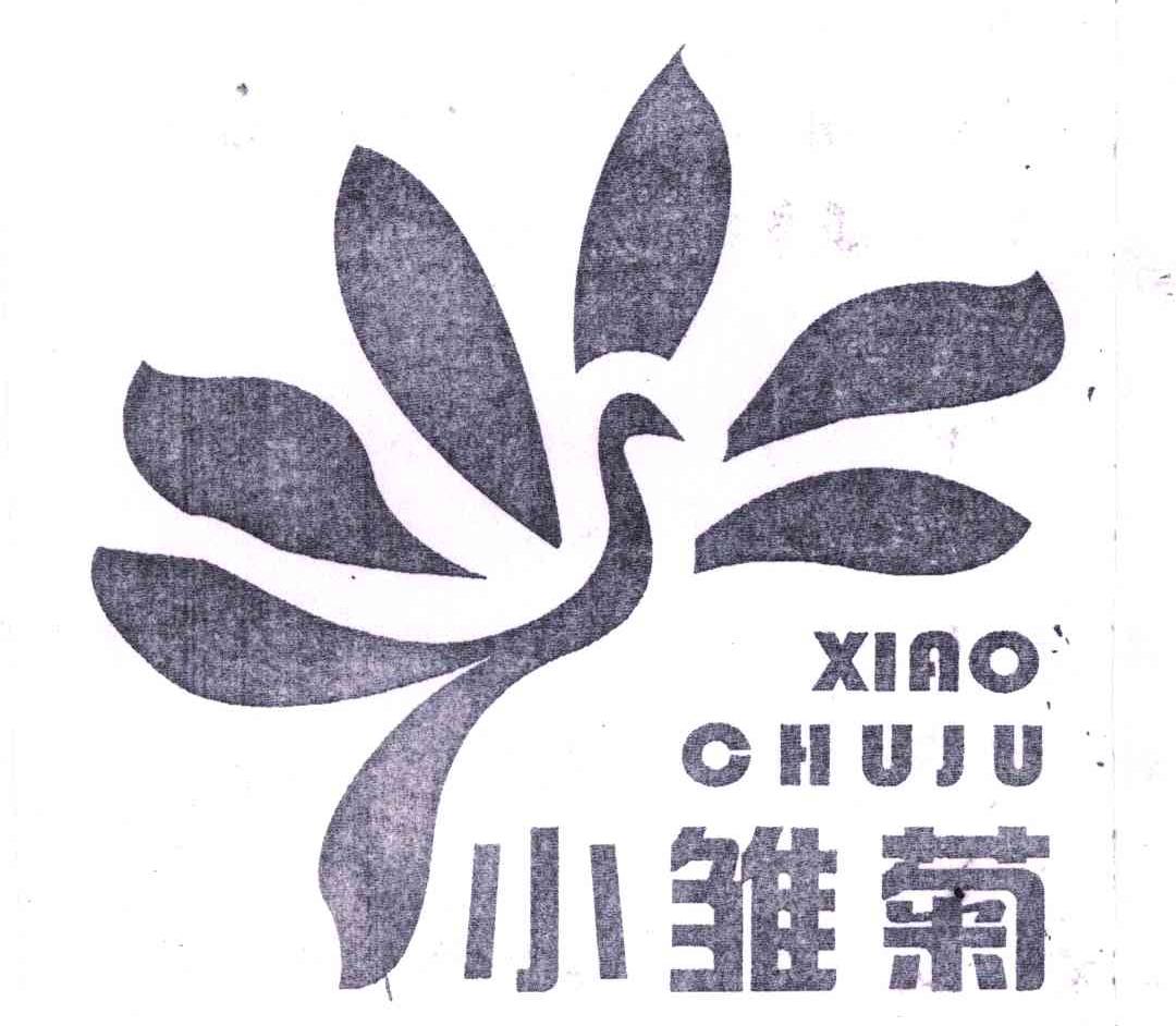 小雏菊 商标公告