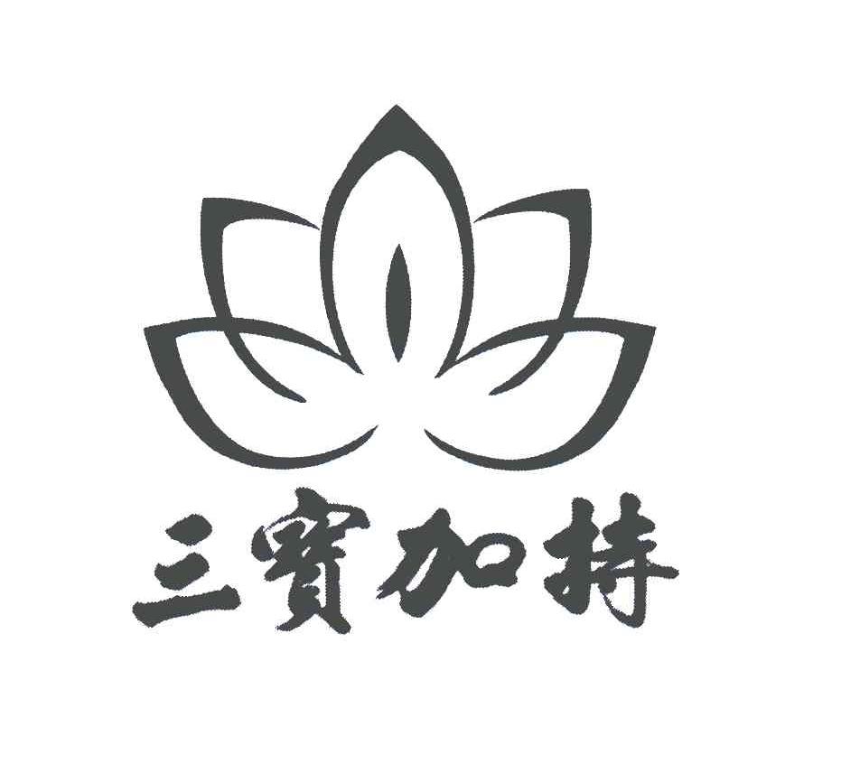 三宝加持 商标公告
