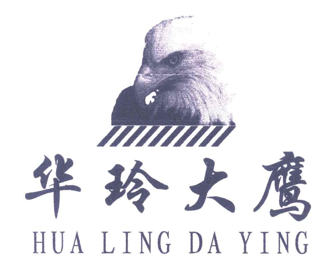 华玲大鹰 商标公告