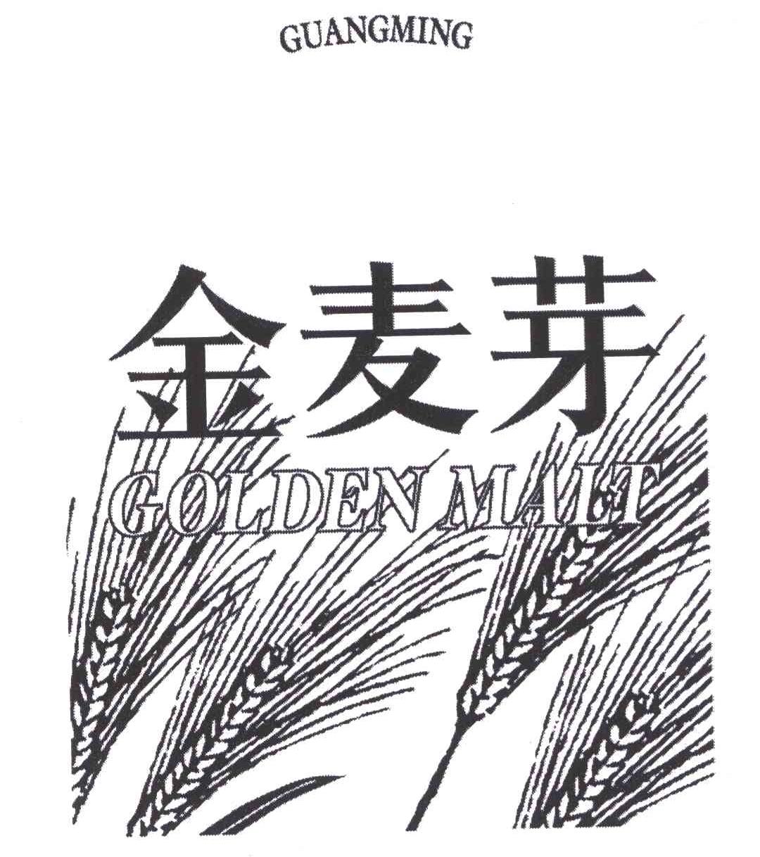金麦芽;golden malt;guangming