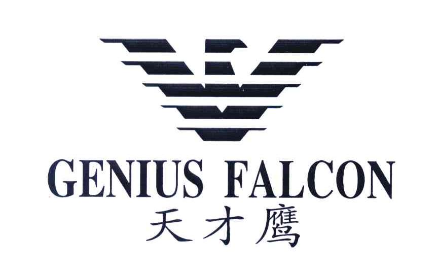 天才鹰;genius falcon 商标公告