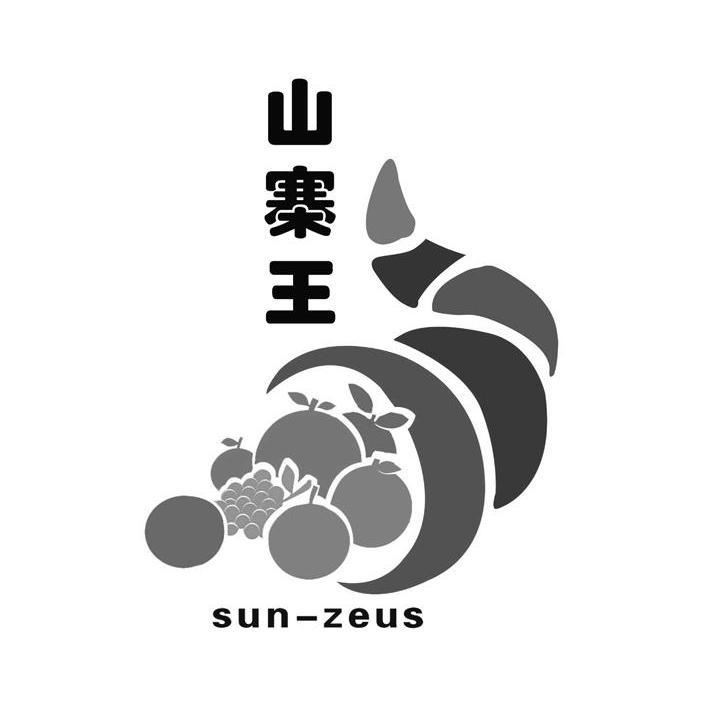 山寨王 sun-zeus 商标公告
