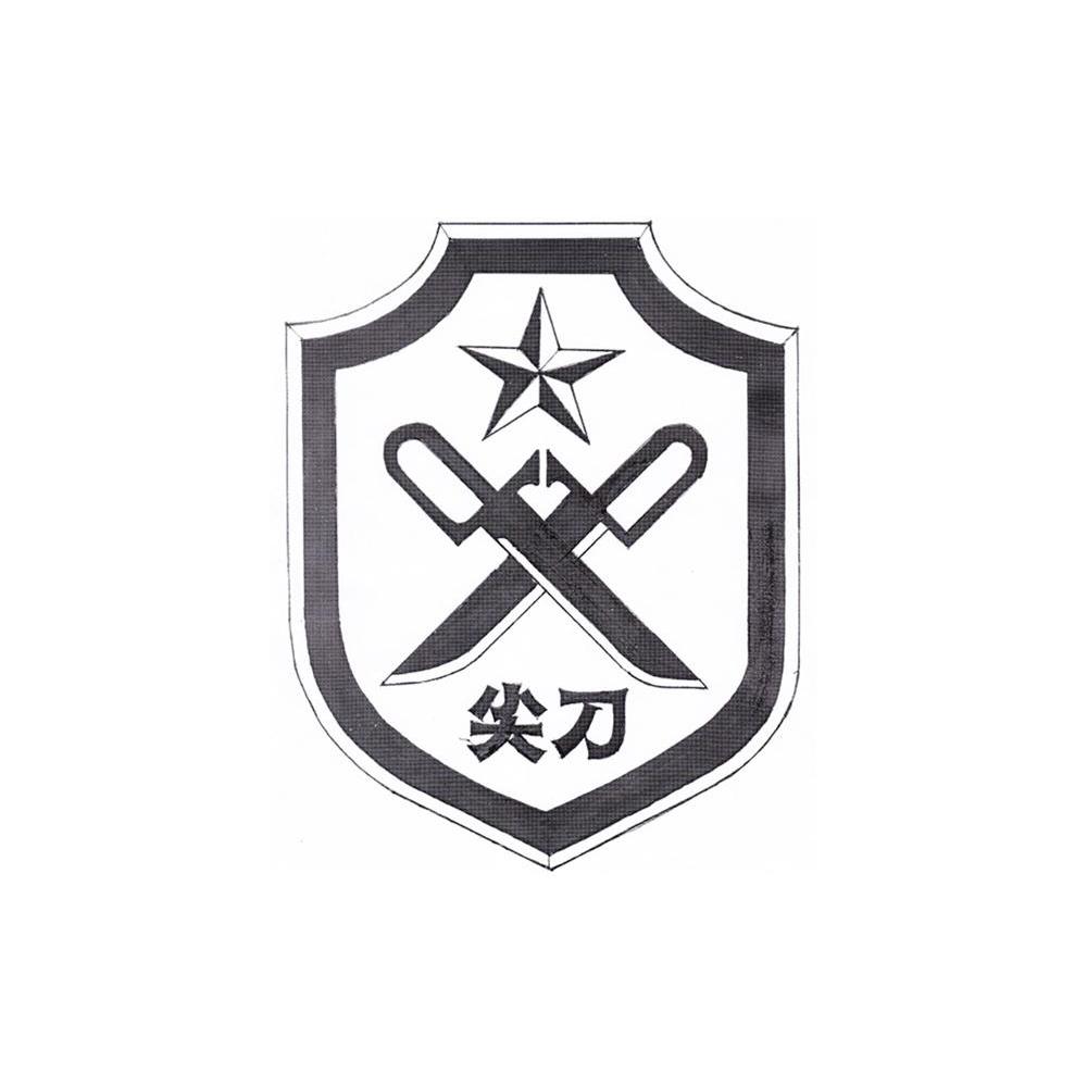 尖刀logo照片图片