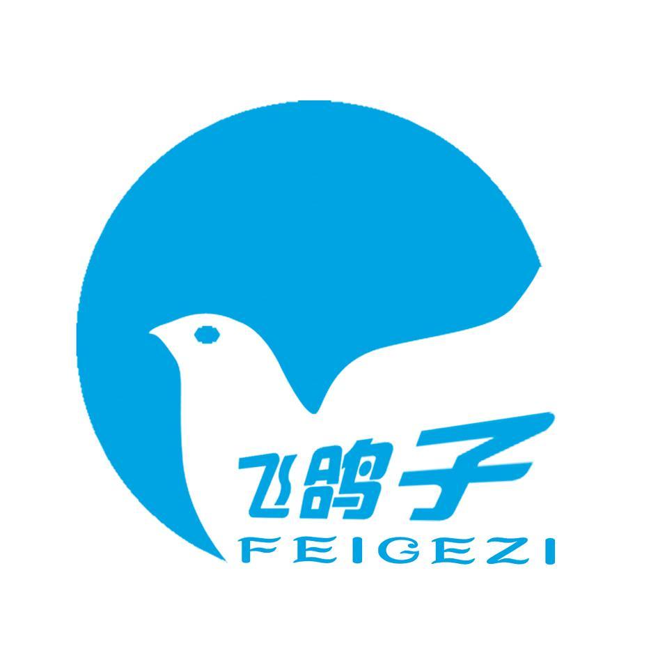 飞鸽子 商标公告