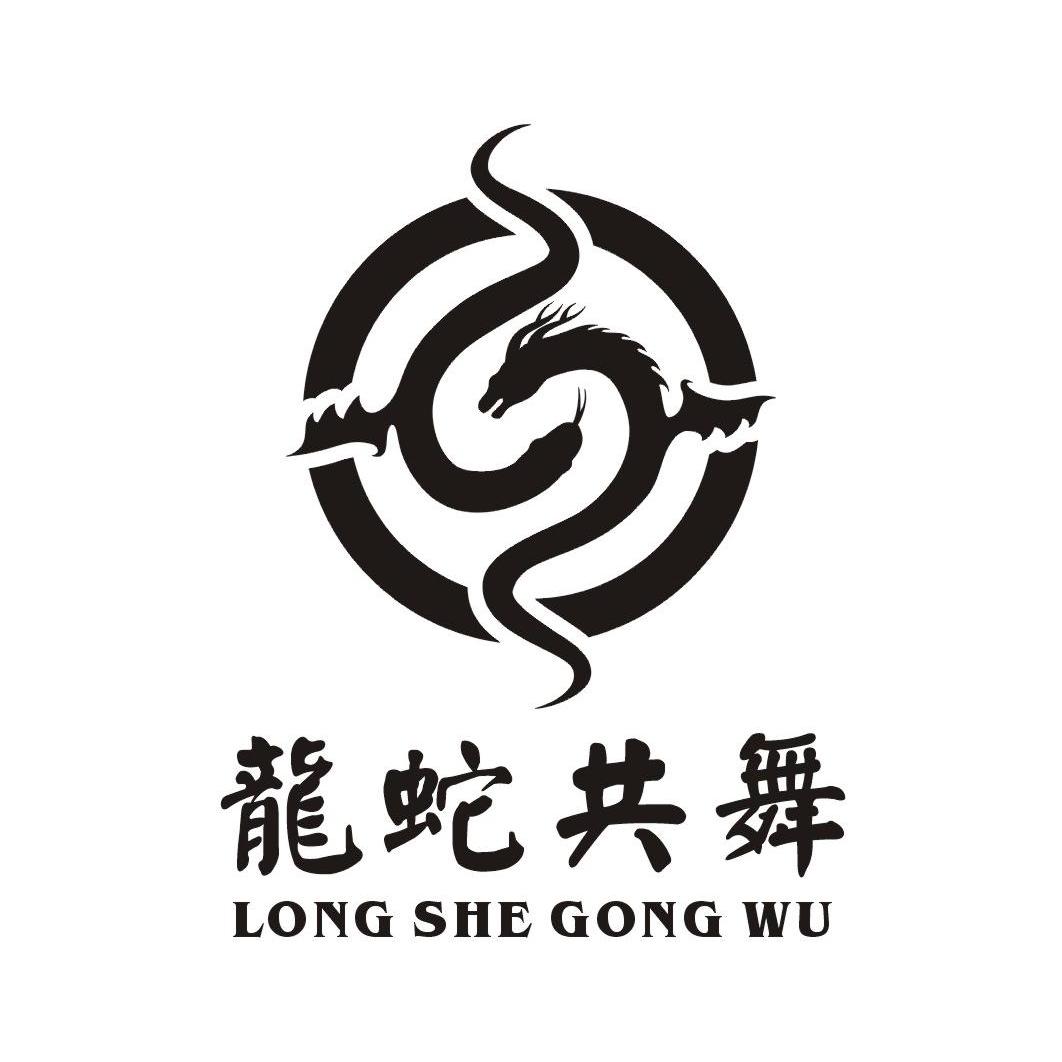 龙蛇共舞 商标公告