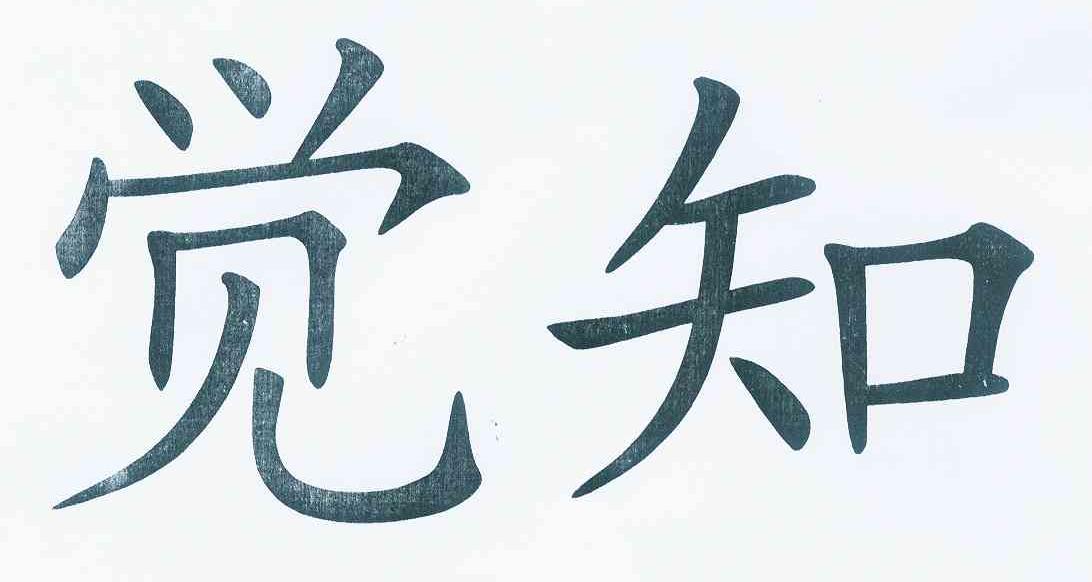 觉知 商标公告