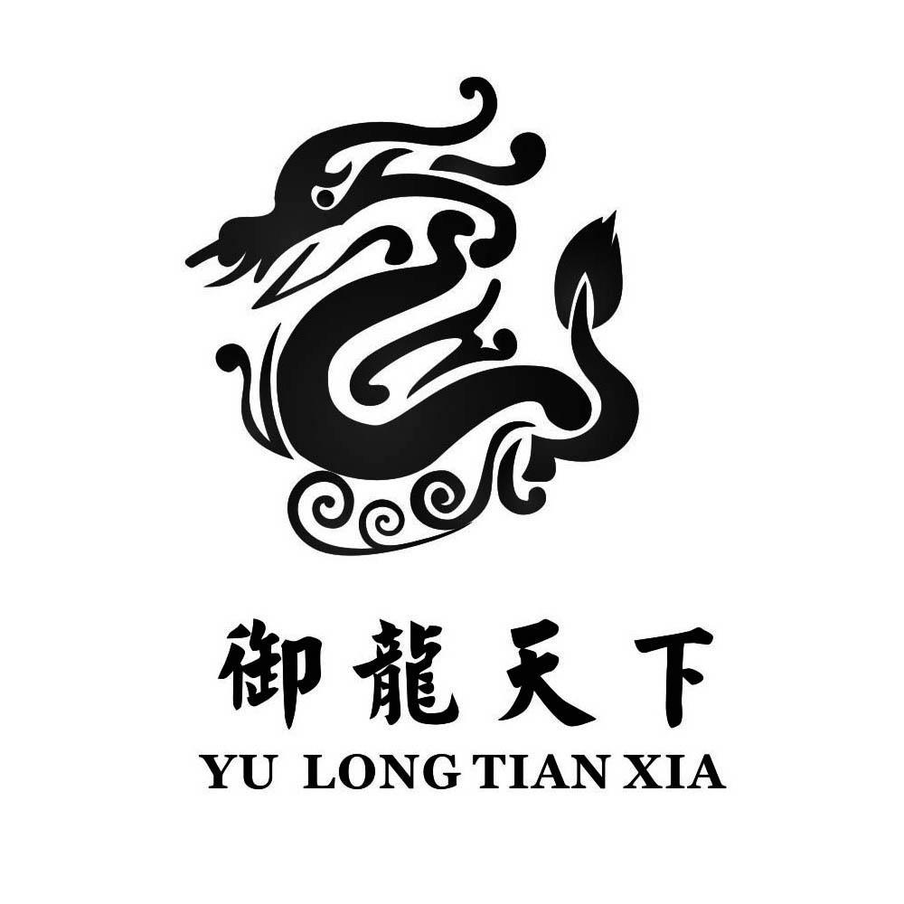 御龙天下 商标公告