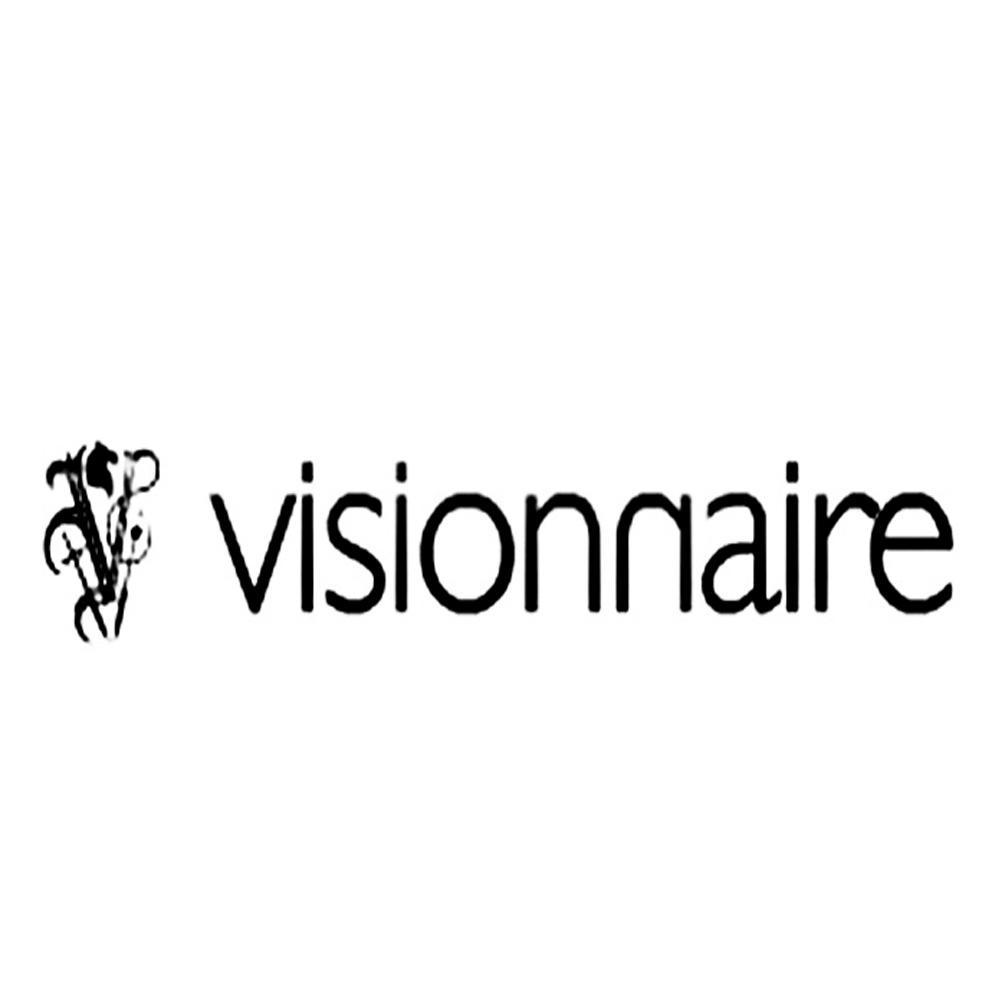 visionnaire
