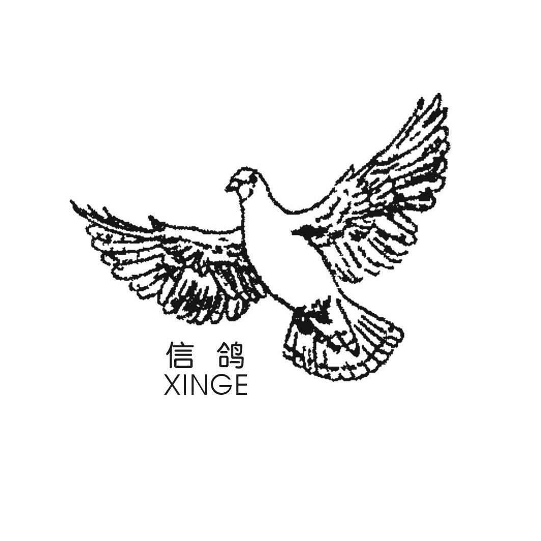 信鸽 商标公告