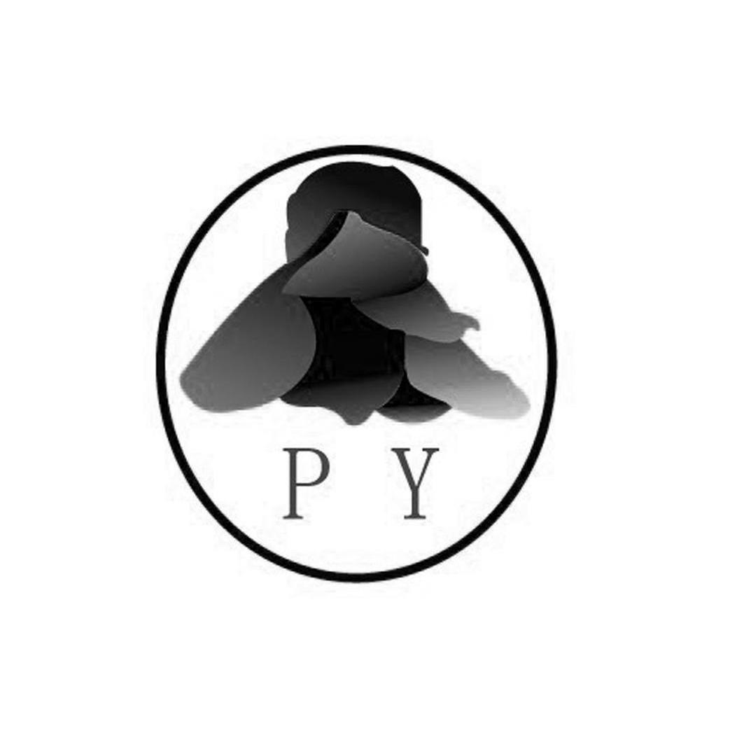 py 商标公告