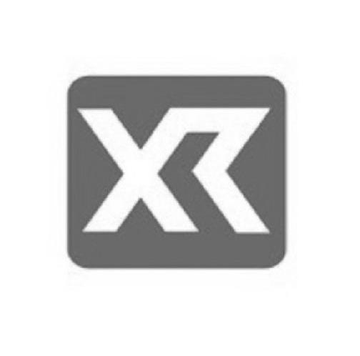 xr 商标公告