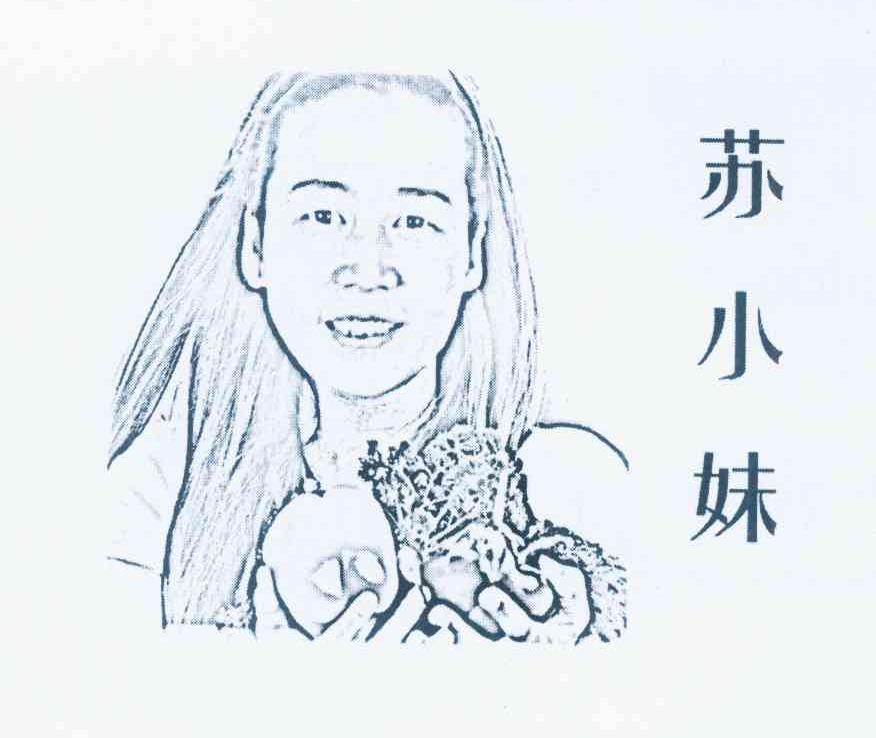 苏小妹 商标公告