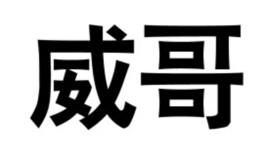 威哥 商标公告
