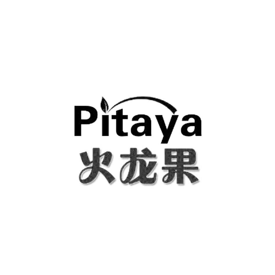火龙果 pitaya 商标公告
