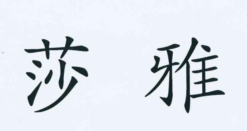 您正在查看莎媞雅商标