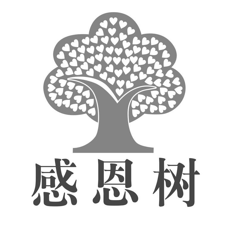 感恩树 商标公告