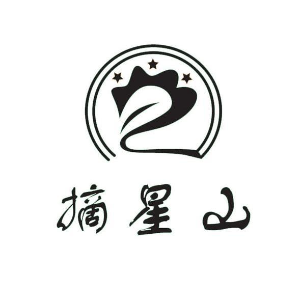 摘星山 商标公告