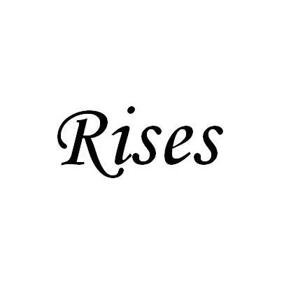 RISESUS注册|进度|注册成功率