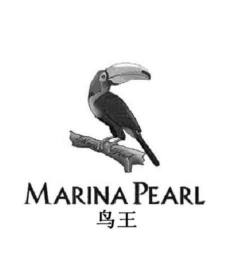 鸟王marina pearl 商标公告