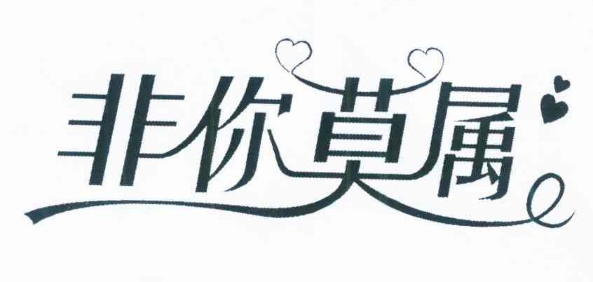 非你莫属 商标公告