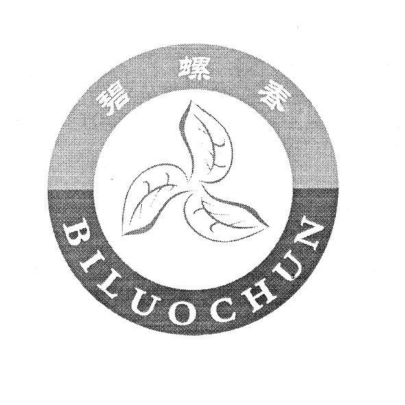 碧螺春 商标公告