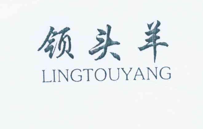 领头羊 商标公告