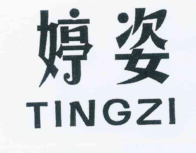 您正在查看婷姿堂商标