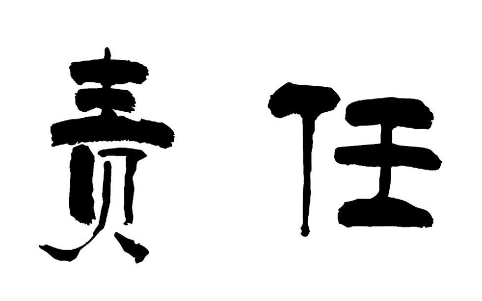 责任 商标公告