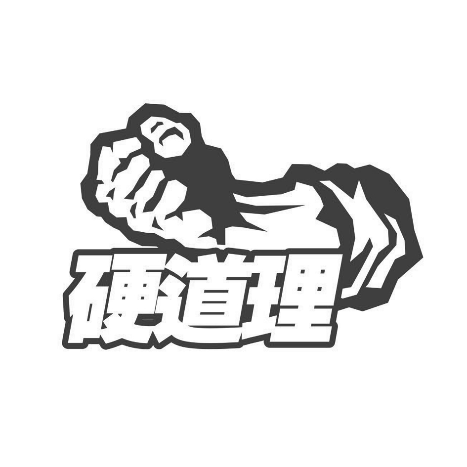 硬道理 商标公告