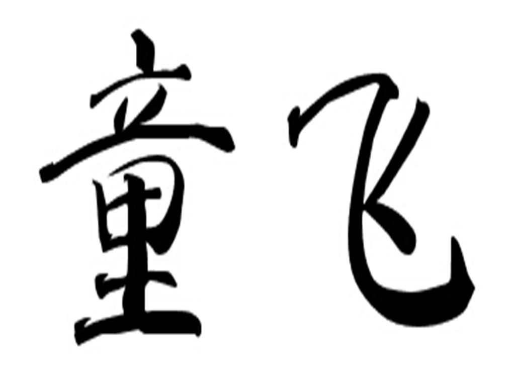 童飞 商标公告