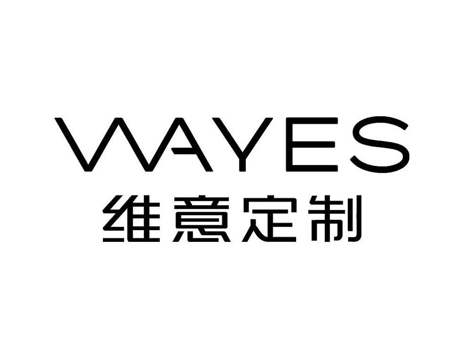 维意定制 vvayes 商标公告