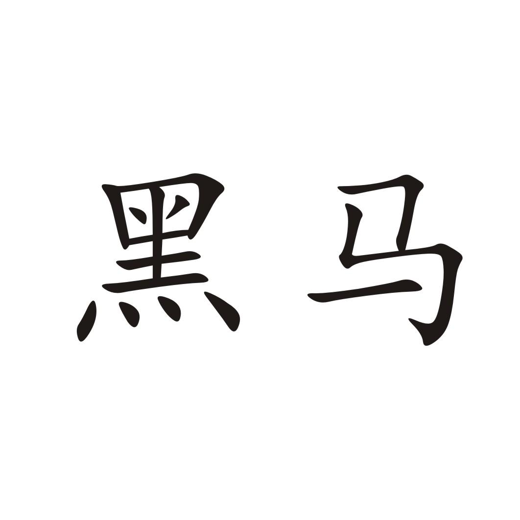 黑马 商标公告