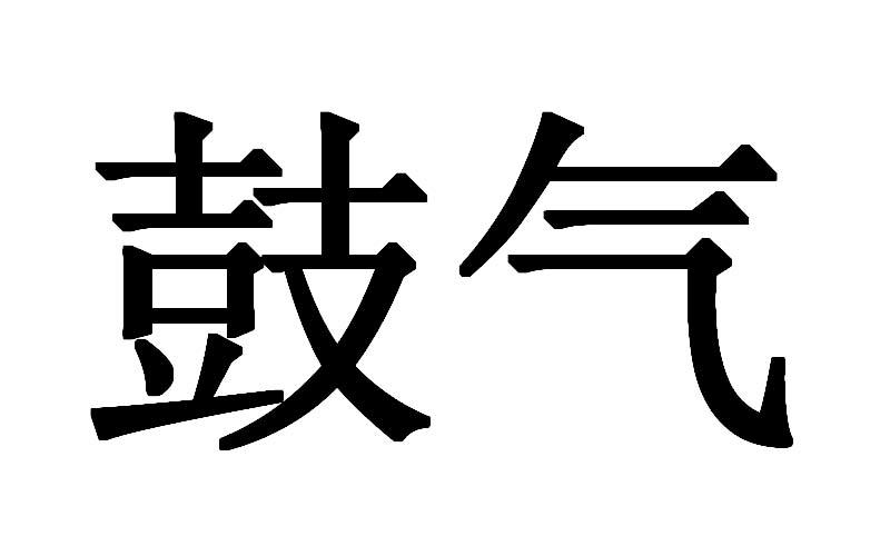 鼓气 商标公告