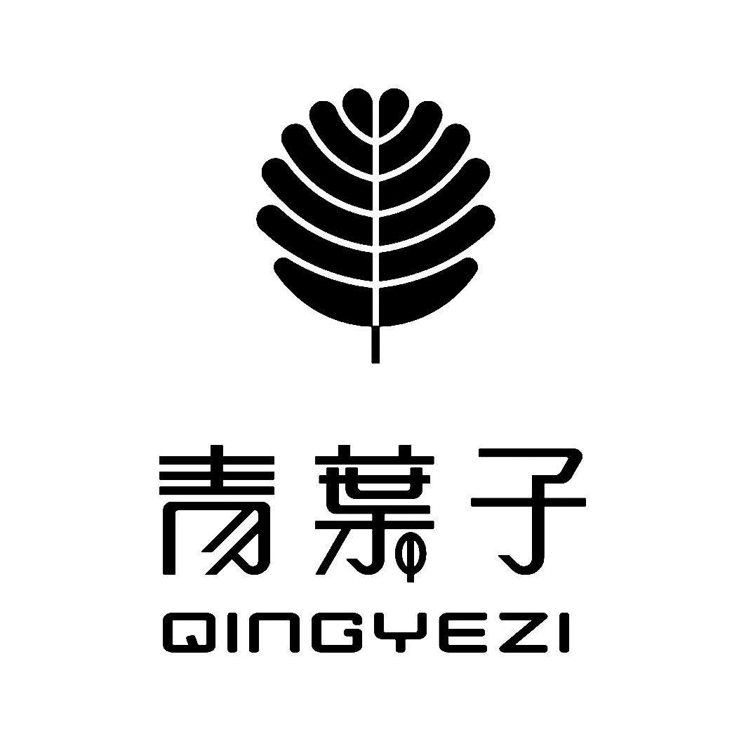 青叶子 商标公告