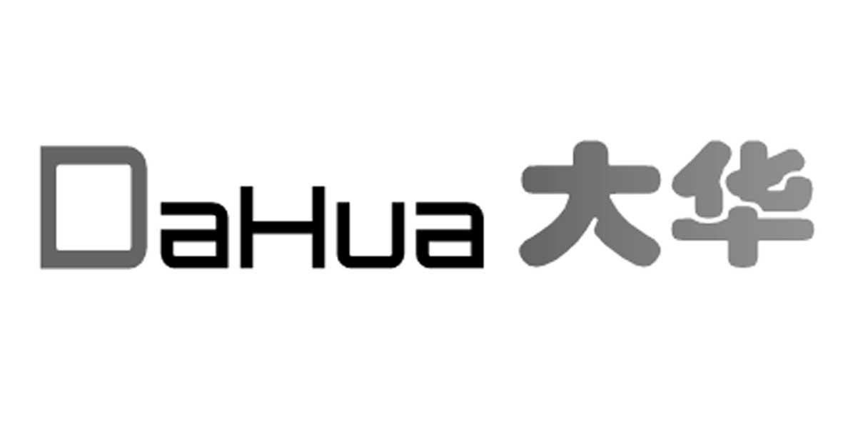 大华集团logo图片