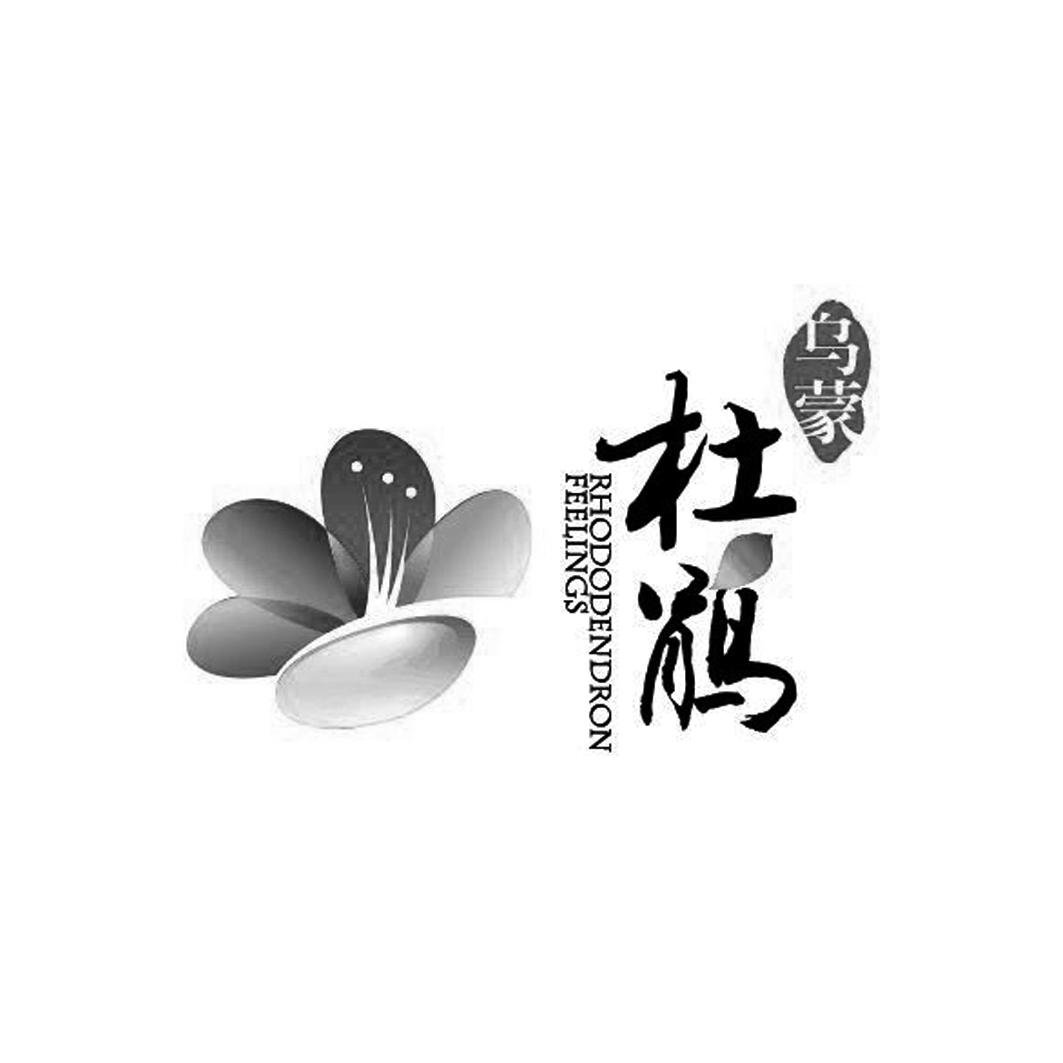 乌蒙杜鹃  rhododendron feelings 商标公告