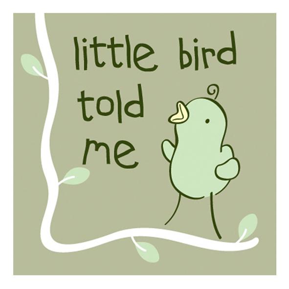 little bird told me 商标公告